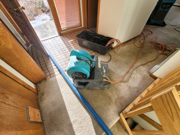 Best Local water damage restoration  in Tunkhannock, PA