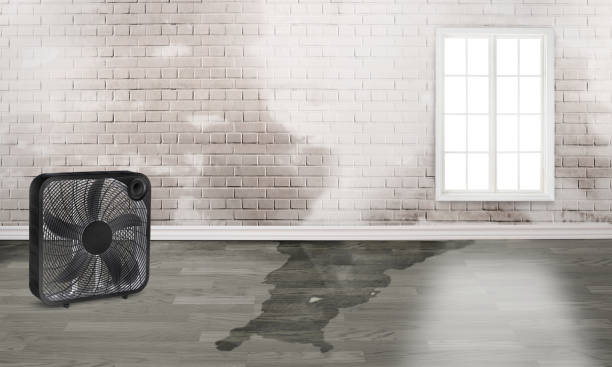 Best Commercial water damage restoration  in Tunkhannock, PA