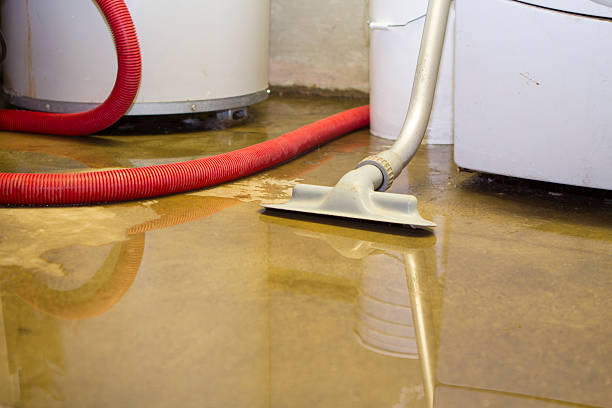 Best 24-hour water damage restoration  in Tunkhannock, PA
