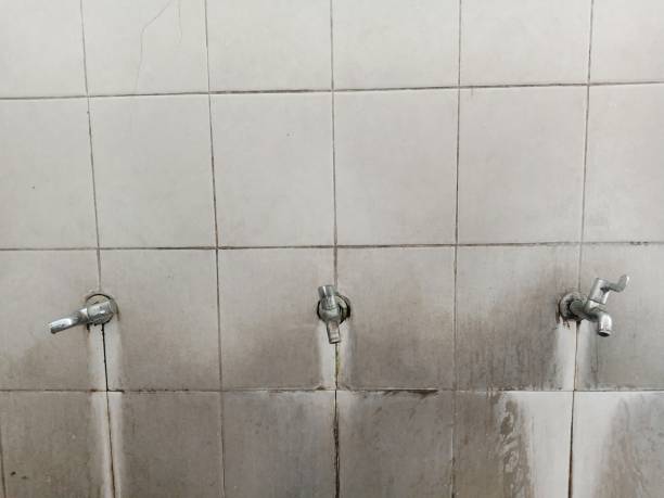 Best Ceiling water damage repair  in Tunkhannock, PA
