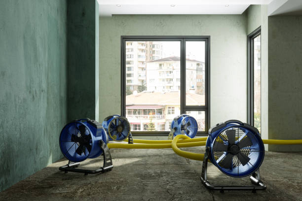 Sewage cleanup and water damage restoration in Tunkhannock, PA