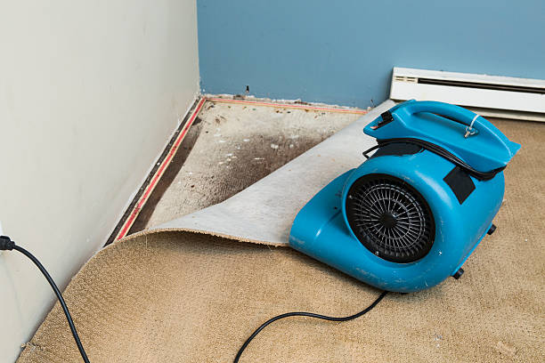 Best Fire Damage Restoration  in Tunkhannock, PA